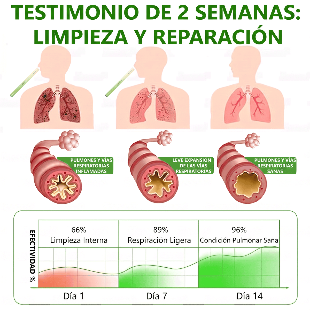 𝐓𝐢𝐞𝐧𝐝𝐚 𝐨𝐟𝐢𝐜𝐢𝐚𝐥 ✅𝐌𝐮𝐫𝑤𝗈𝒏® Difusor Botánico de Mullein para Limpieza de Pulmones (🫁 Tos, faringitis, dificultad para respirar, flema, congestión nasal, bronquitis, síntomas alérgicos, malestar pulmonar)1❤️