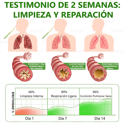 𝐓𝐢𝐞𝐧𝐝𝐚 𝐨𝐟𝐢𝐜𝐢𝐚𝐥 ✅𝐌𝐮𝐫𝑤𝗈𝒏® Difusor Botánico de Mullein para Limpieza de Pulmones (🫁 Tos, faringitis, dificultad para respirar, flema, congestión nasal, bronquitis, síntomas alérgicos, malestar pulmonar)1❤️