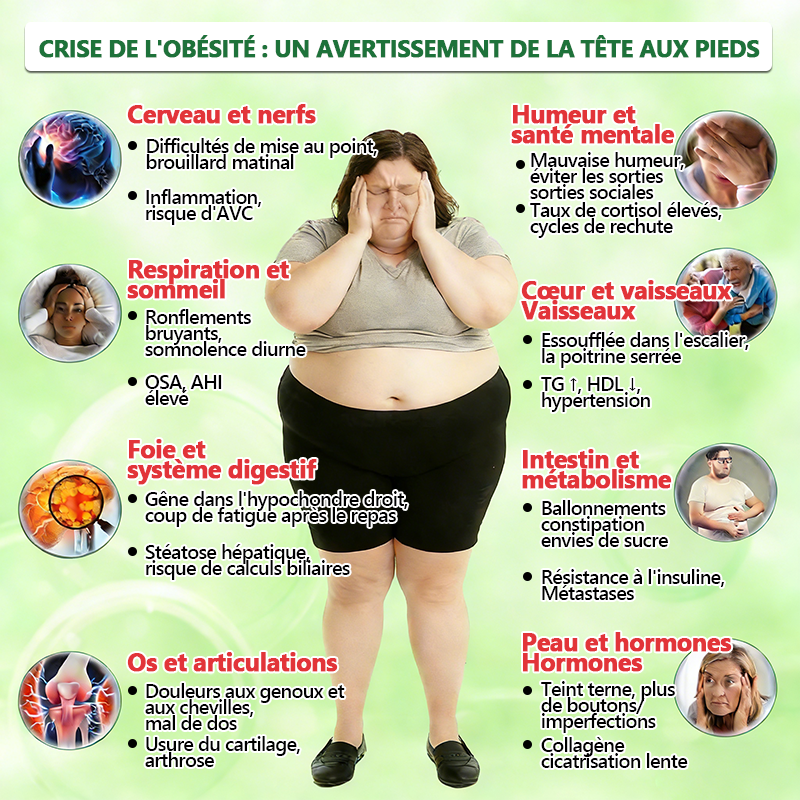 Approuvé par des experts médicaux 👩‍⚕️| 𝑴𝙐𝗥𝓦𝐎𝙉® — 𝑩𝒆𝒓𝙗é𝙧𝐢𝐧𝐞 𝟔-𝒆𝒏-𝟏 𝙋𝙖𝙩𝙘𝙝 à 𝒎𝒊𝒄𝒓𝒐𝙣𝙚𝙚𝙙𝙡𝙚𝙨 𝐧𝐚𝐧𝐨 🥦 𝑺𝒐𝒖𝒕𝒆𝒏𝒖 𝘱𝘢𝘳 𝐥𝐚 𝐬𝐜𝐢𝐞𝐧𝐜𝐞 | 𝙵𝚘𝚛𝚖𝚞𝚕𝚎 6-𝓮𝓷-1 | 𝙍é𝙨𝙪𝙡𝙩𝙖𝙩𝙨 𝚎𝚗 𝟽 𝚓𝚘𝚞𝚛𝚜 ❤️‍🩹