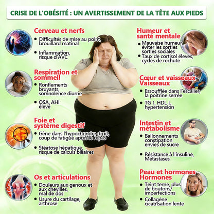 Approuvé par des experts médicaux 👩‍⚕️👩‍⚕️| MURWON® M-B-N Patch métabolique Nano Fusion 10-en-1 | 🌥️ Appuyé par la science | Formule 10-en-1 | Résultats en 7 jours🍅