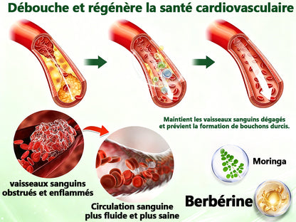 Approuvé par des experts médicaux 👩‍⚕️👩‍⚕️| MURWON® M-B-N Patch métabolique Nano Fusion 10-en-1 | 🌥️ Appuyé par la science | Formule 10-en-1 | Résultats en 7 jours🍅