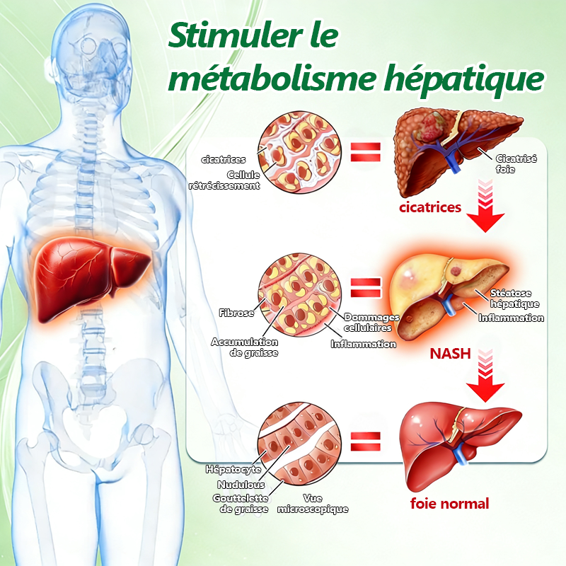 Approuvé par des experts médicaux 👩‍⚕️| 𝑴𝙐𝗥𝓦𝐎𝙉® — 𝑩𝒆𝒓𝙗é𝙧𝐢𝐧𝐞 𝟔-𝒆𝒏-𝟏 𝙋𝙖𝙩𝙘𝙝 à 𝒎𝒊𝒄𝒓𝒐𝙣𝙚𝙚𝙙𝙡𝙚𝙨 𝐧𝐚𝐧𝐨 🥦 𝑺𝒐𝒖𝒕𝒆𝒏𝒖 𝘱𝘢𝘳 𝐥𝐚 𝐬𝐜𝐢𝐞𝐧𝐜𝐞 | 𝙵𝚘𝚛𝚖𝚞𝚕𝚎 6-𝓮𝓷-1 | 𝙍é𝙨𝙪𝙡𝙩𝙖𝙩𝙨 𝚎𝚗 𝟽 𝚓𝚘𝚞𝚛𝚜 ❤️‍🩹