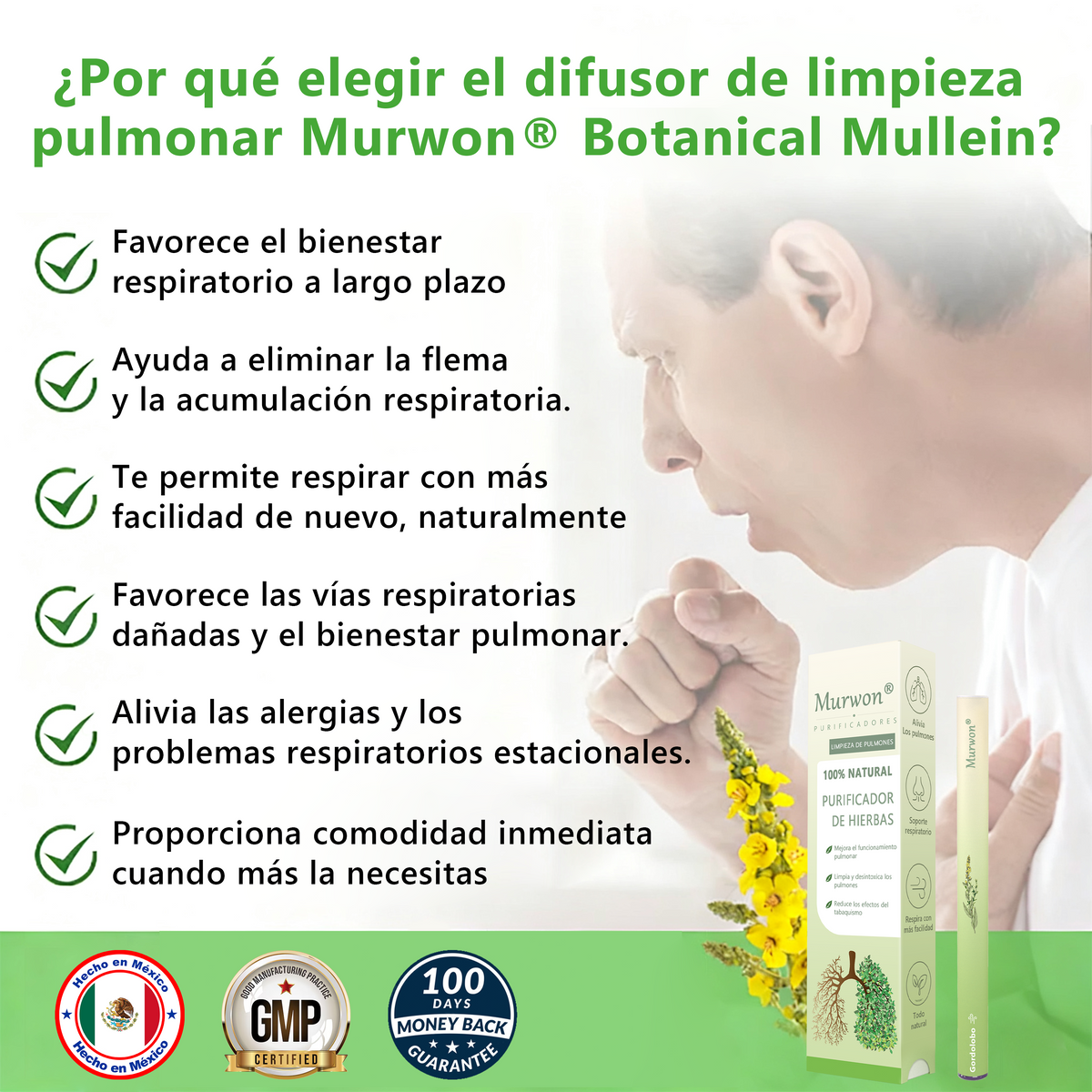 Oferta por tiempo limitado: 30% de descuento en el segundo artículo 🔥𝐌𝐮𝐫𝑤𝗈𝒏® Difusor Botánico de Mullein para Limpieza de Pulmones