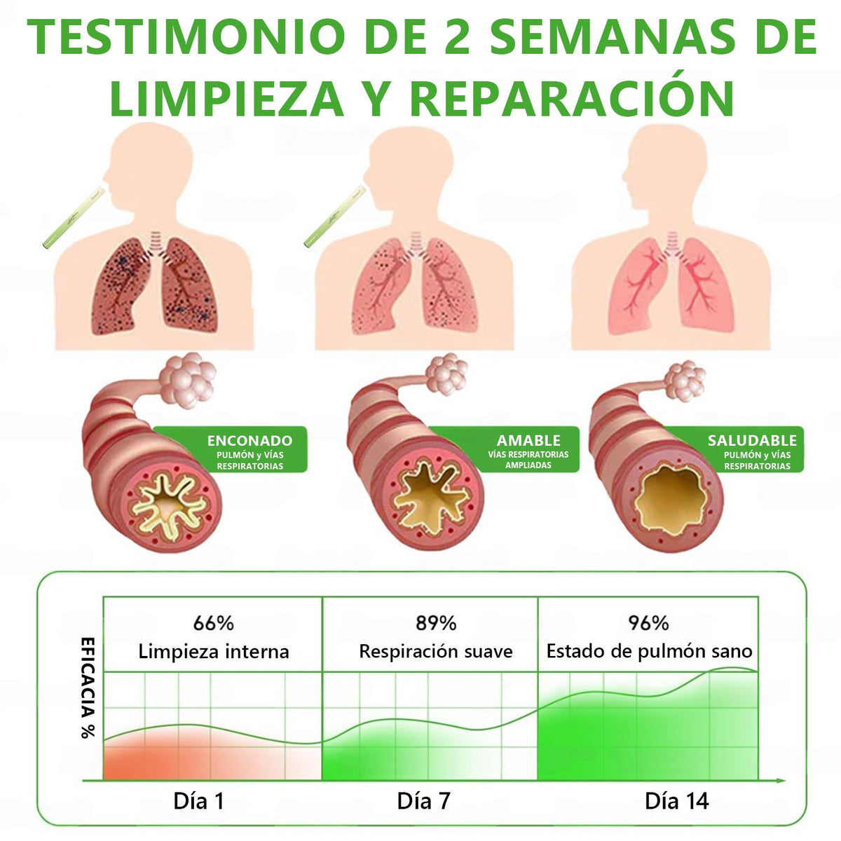 𝐓𝐢𝐞𝐧𝐝𝐚 𝐨𝐟𝐢𝐜𝐢𝐚𝐥 ✨𝐌𝐮𝐫𝑤𝗈𝒏® Difusor Botánico de Mullein para Limpieza de Pulmones (🫁 Tos, faringitis, dificultad para respirar, flema, congestión nasal, bronquitis, síntomas alérgicos, malestar pulmonar)4🌹