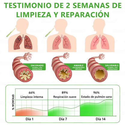 𝐓𝐢𝐞𝐧𝐝𝐚 𝐨𝐟𝐢𝐜𝐢𝐚𝐥 ✨𝐌𝐮𝐫𝑤𝗈𝒏® Difusor Botánico de Mullein para Limpieza de Pulmones (🫁 Tos, faringitis, dificultad para respirar, flema, congestión nasal, bronquitis, síntomas alérgicos, malestar pulmonar)4🌹