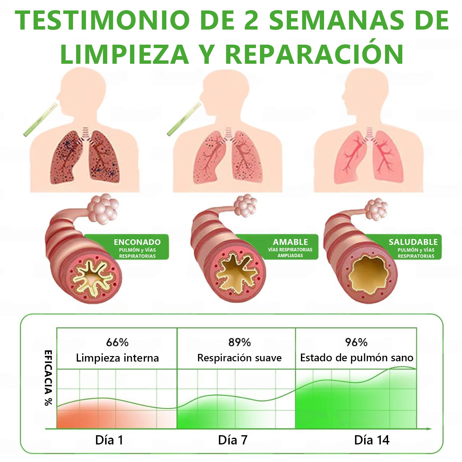Compra 2 y llévate 2 gratis – 4 piezas (🔥✨Terapia de consolidación✨)
